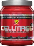 CellMass 2.0